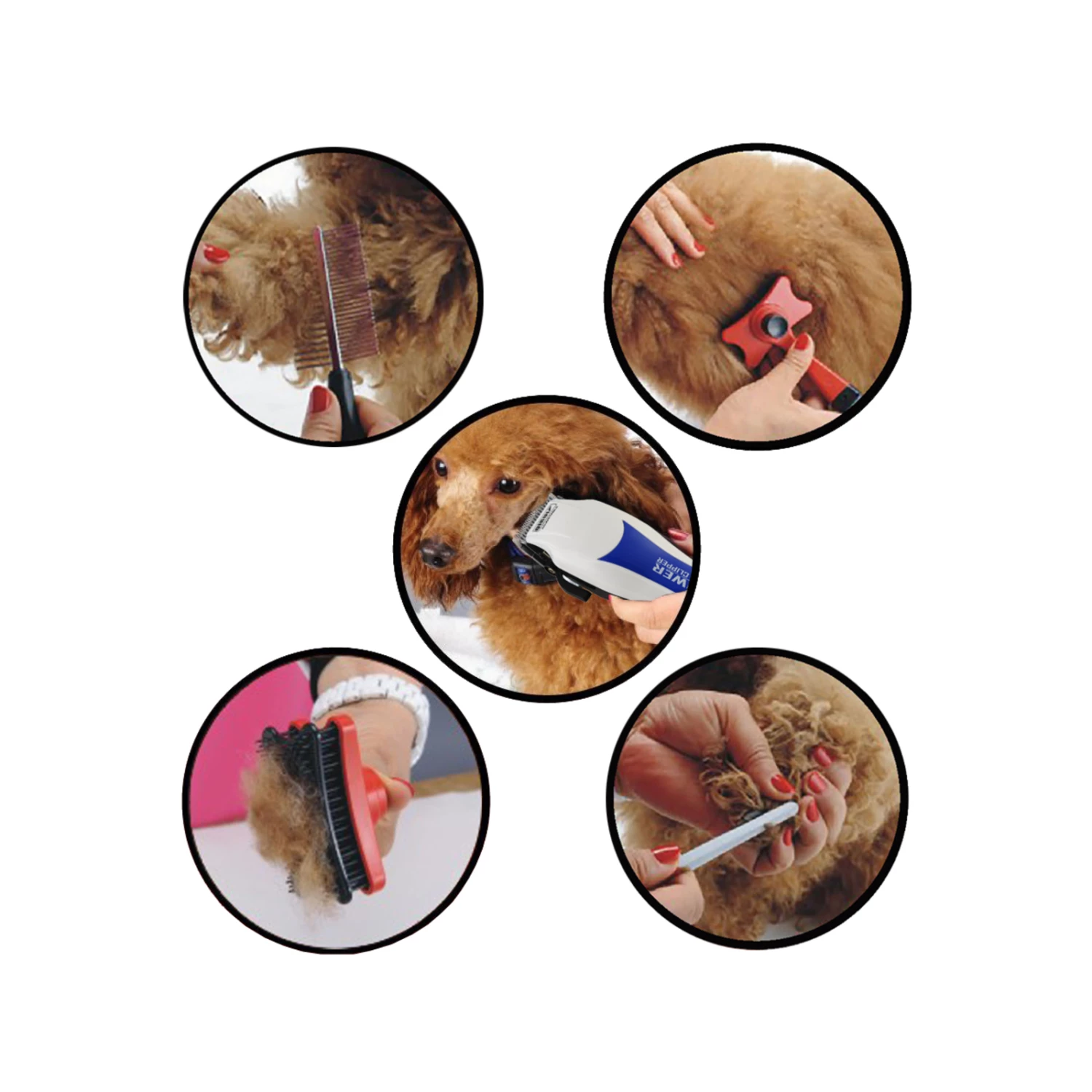 Cheapest 🌟 Australia Only - TODO Electric Pet Clipper Grooming Kit 🦮 Dog Trimmer Green 🎁 7 Cheapest 🌟 Australia Only - TODO Electric Pet Clipper Grooming Kit 🦮 Dog Trimmer Green 🎁 - Image 7