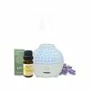Best reviews of ✔️ Australia Only - TODO 60ml Humidifier Aromatherapy Diffuser W/ LED Light - White 🔥